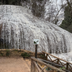 Zaragoza met kinderen: de verborgen parel van Spanje